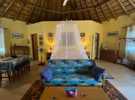 Beautiful traditional style studio