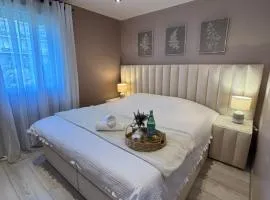 Apartment Strasbourg 7 Guests, 10 min City Center