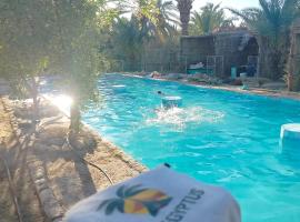 agyptus camp，位于锡瓦的酒店