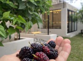 غصن الهدا，位于阿哈达的木屋