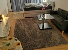 Privatwohnung im Stadtzentrum