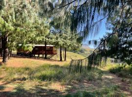 Dargle Forest Lodge，位于Dargle的木屋