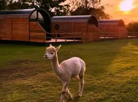 Luxury Lodge with Hot Tub next to Belfry Golf Course