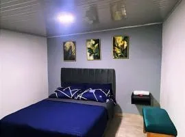 Vélez Loft II