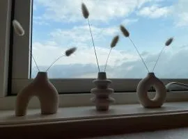 Your own room- 48 h free parking