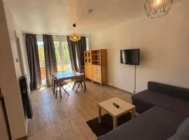 Les balcons du centre