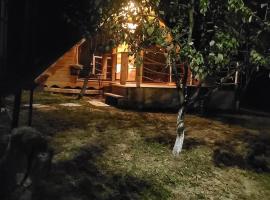 Casuța din livada，位于Albestii de Arges的木屋