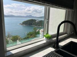 Manzanillo Ocean View Apartment Las Hadas Peninsula，位于曼萨尼约的酒店