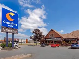 布兰特福德康福特茵酒店