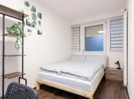 Mount Pilatus Rooms Lucerne