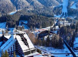 皮亚特拉尼马雷酒店，位于波亚纳布拉索夫的酒店