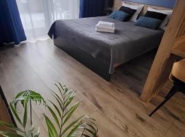 Apartament - Sienkiewicza 22D，位于扎莫希奇的酒店