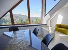 超级滑雪高山公寓