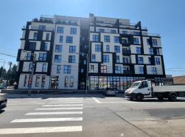 La Matei，位于比斯特里察的酒店