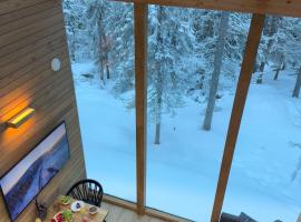 Villa Auroras Karhu，位于索特的酒店