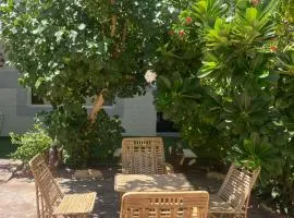 فيلا وشاليه الجبل الاحمر