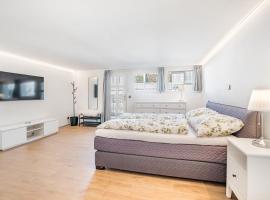 Completely renovated, furnished studio with plenty of comfort，位于菲斯普的酒店