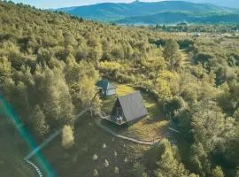 Dobrede - будиночки під лісом