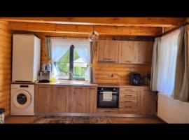 Cabana La Iura，位于Bistra的酒店