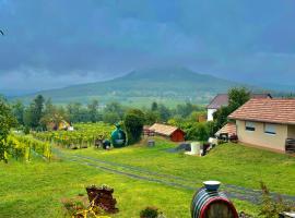 Badacsony Hegypanoráma Apartman，位于Badacsony的酒店