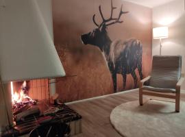 Revontuli House，位于凯米的酒店