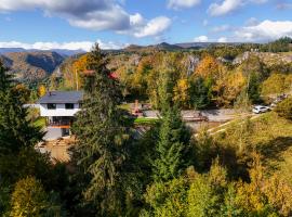 Casa Familiei Dambovicioara，位于Podu D&icirc;mboviţei的别墅