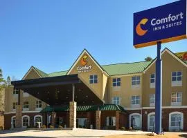 Comfort Inn & Suites Cartersville - Emerson Lake Point