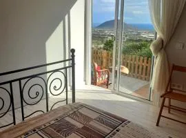 El jardin de Valle de Guimar