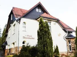 Ferienapartments in Schierke am Brocken direkte Wanderweglage