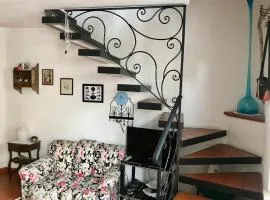 Grazioso appartamento con ingresso indipendente - S178