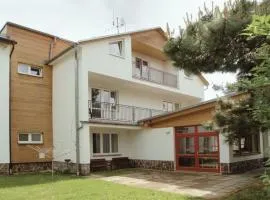 大洛西尼霍林卡旅馆