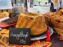 Hotel Primo Colmar Centre，位于科尔马的酒店