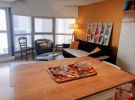 L'incontournable, centre ville parking wifi linge de maison fourni