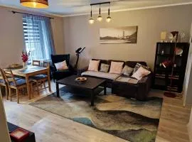 Friendly Apartment Wełnowiec