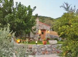 Karaincirevleri Müstakil Taş Ev