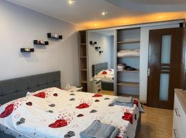 Ania house，位于Mioveni的酒店