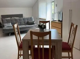 Apartments and Wellness Ščavničar