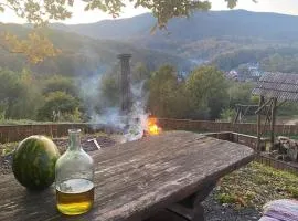 Панорама Шаян