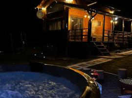 Recele Tiny Nest，位于Ilva Mare的酒店