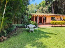 Portal Azahualco Bungalow close to the mountain，位于迪坡斯特兰的木屋