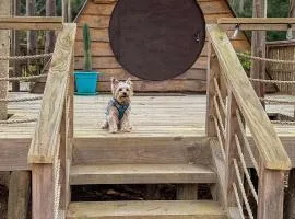 Glamping Eluney Bucalemu