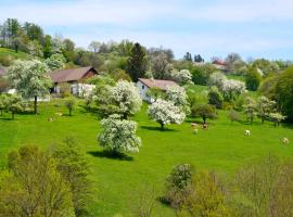 Ferienwohnung Vonwald，位于Michelbach的酒店