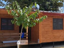 Eco Wooden Olympic view Village，位于乐托卡亚的别墅