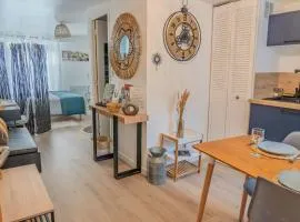 L'Appart'Mans -charmant-studio-centre ville-2 pers