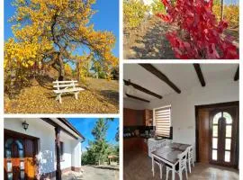 Mi Kis Lakunk - szállás&dézsa a szőlőhegyen