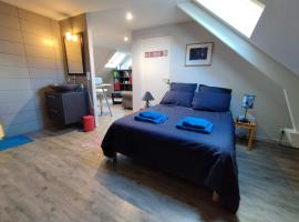 Vaste chambre à Vouvray，位于武夫赖的酒店