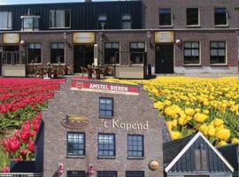 布鲁芒勒希特酒店，位于Breezand的酒店