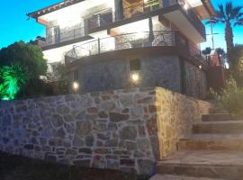 Villa Nestor，位于帕拉塔蒙的酒店