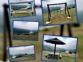 Vila Kostadinovic，位于皮罗特的酒店