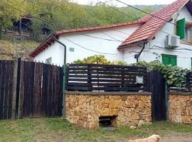 Casa de Vacanta Șușara